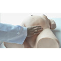 Maternity Pregnant Woman Abdominal Palpation Training Simulator Model